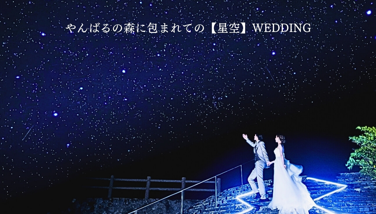 WD04【星と森のキャンプ場・ウェディング：国頭村森林公園】